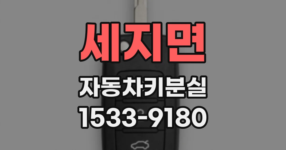 세지면 자동차키분실