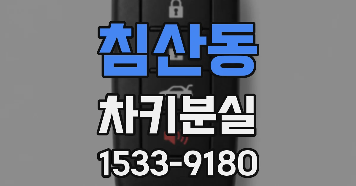 침산동 차키분실