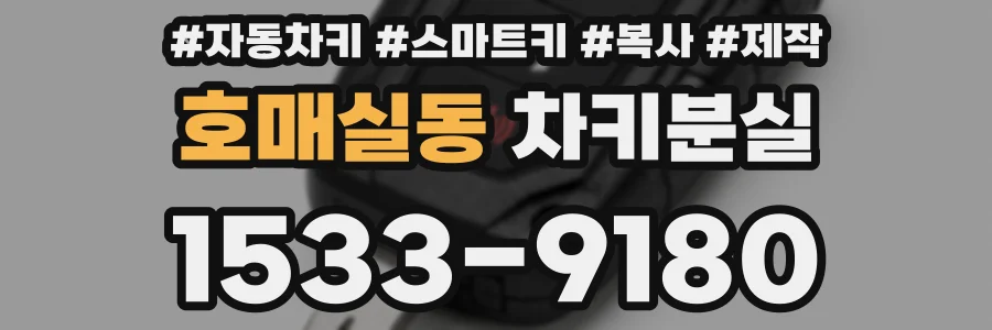 호매실동 차키분실