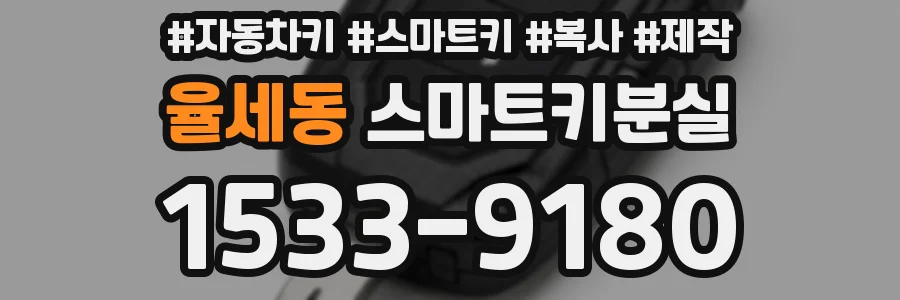 율세동 스마트키분실