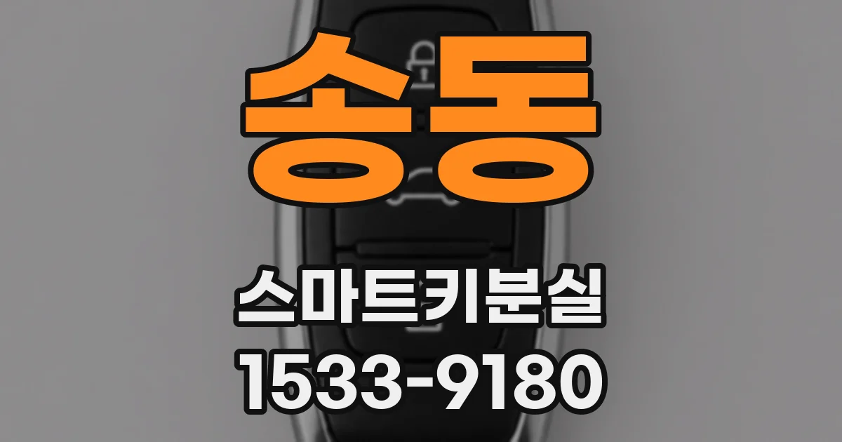 송동 스마트키분실