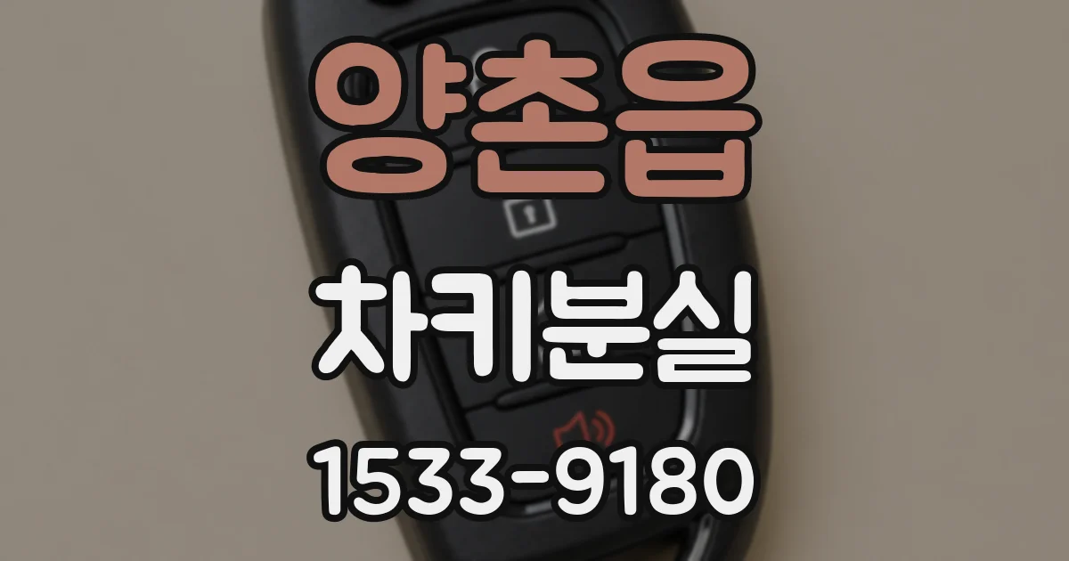 양촌읍 차키분실
