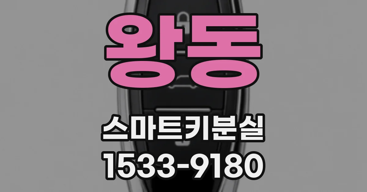 왕동 스마트키분실