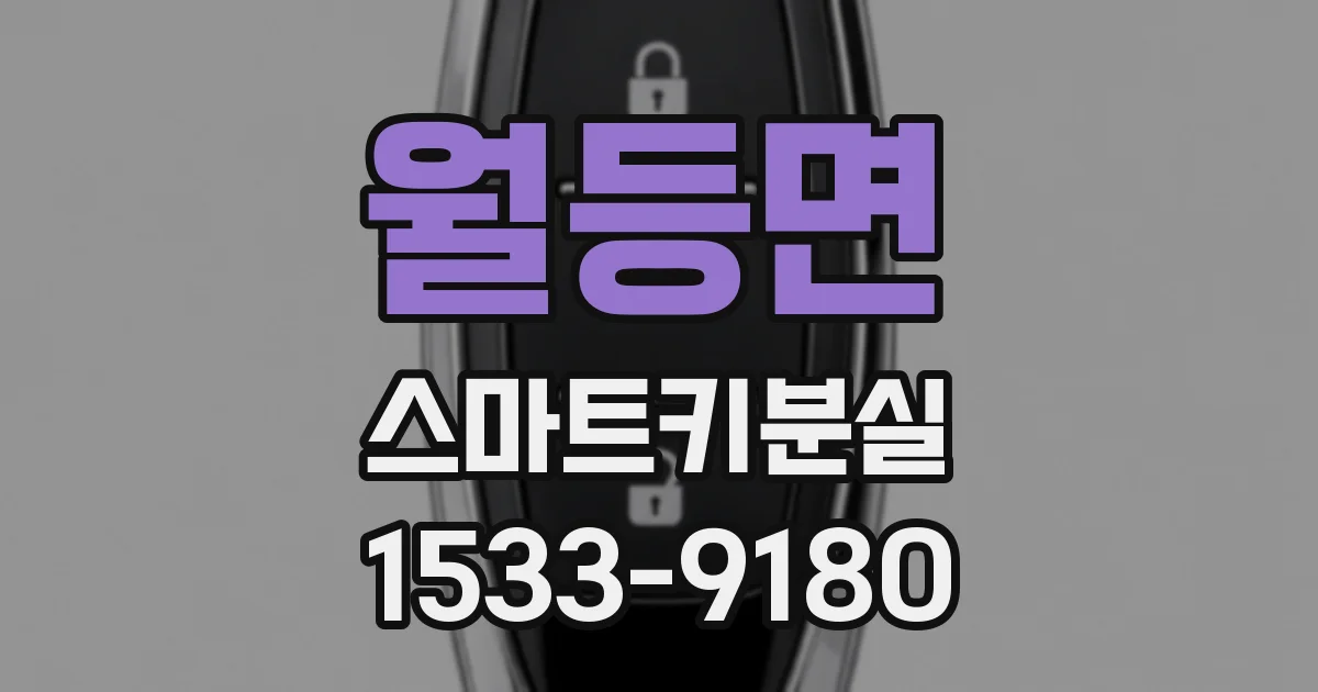 월등면 스마트키분실