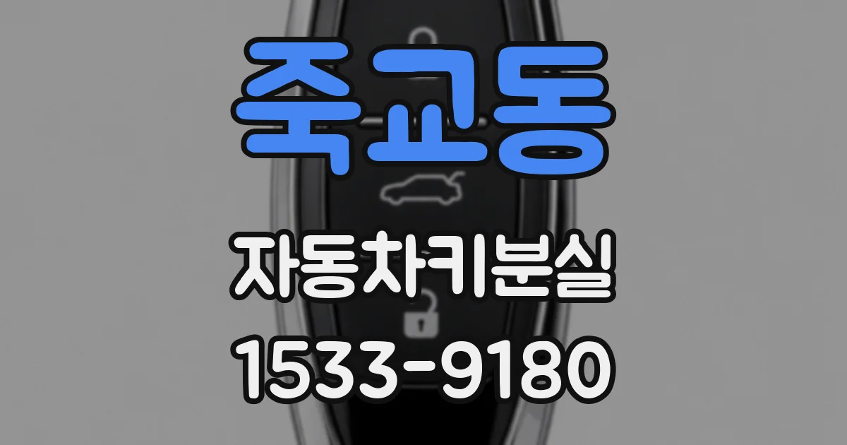 죽교동 자동차키분실
