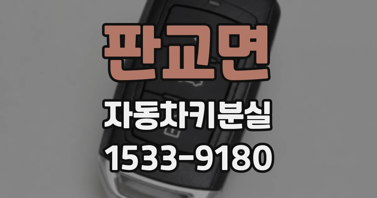 판교면 자동차키분실