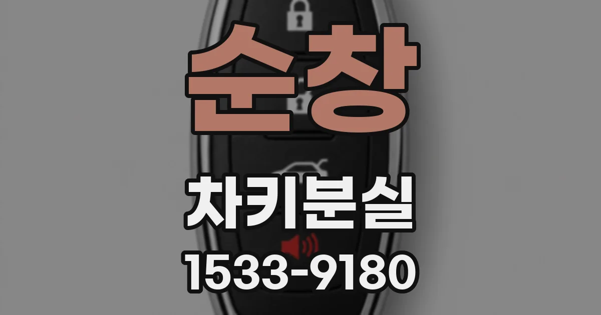 순창 차키분실