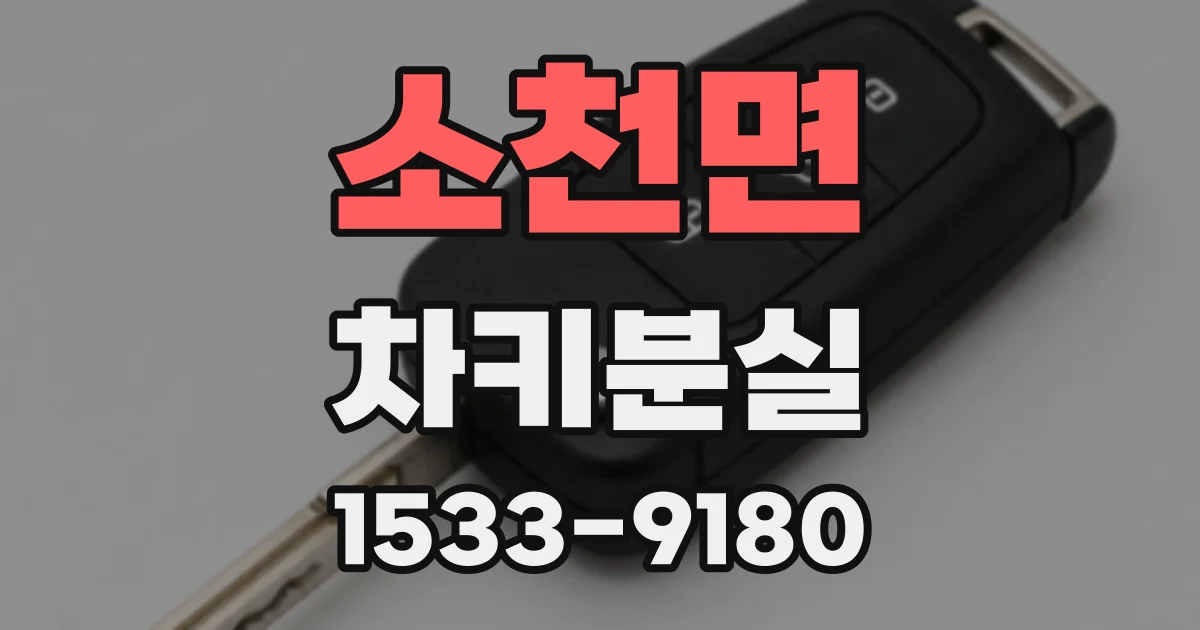 소천면 차키분실