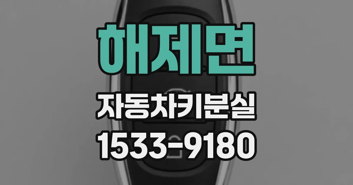 해제면 자동차키분실