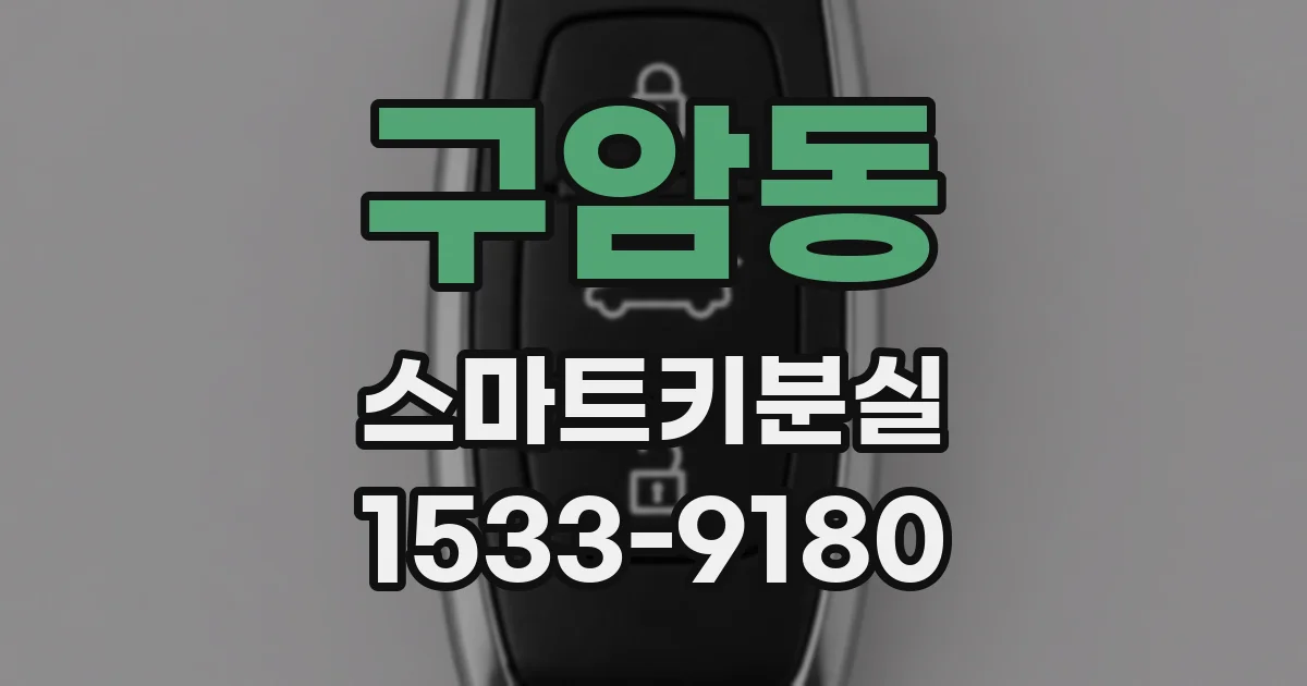 구암동 스마트키분실
