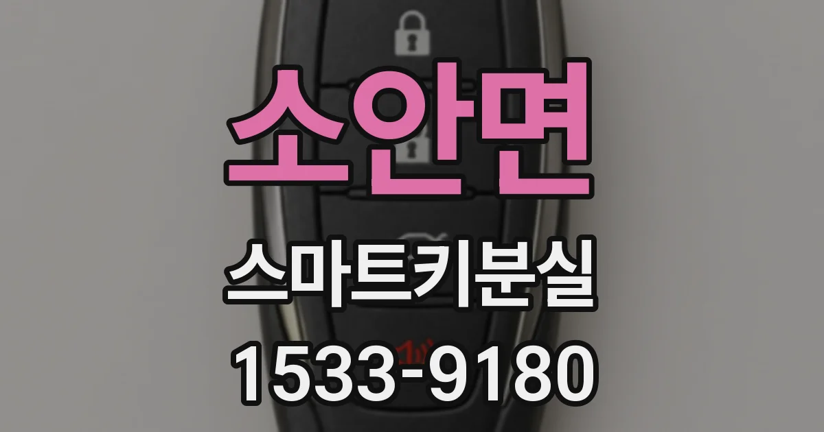 소안면 스마트키분실