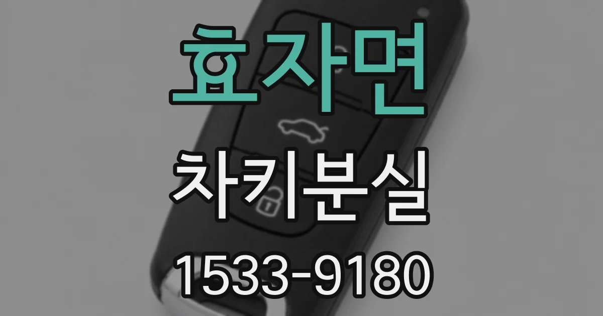 효자면 차키분실