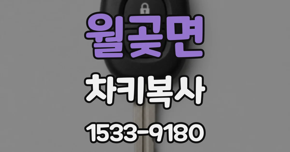 월곶면 차키복사