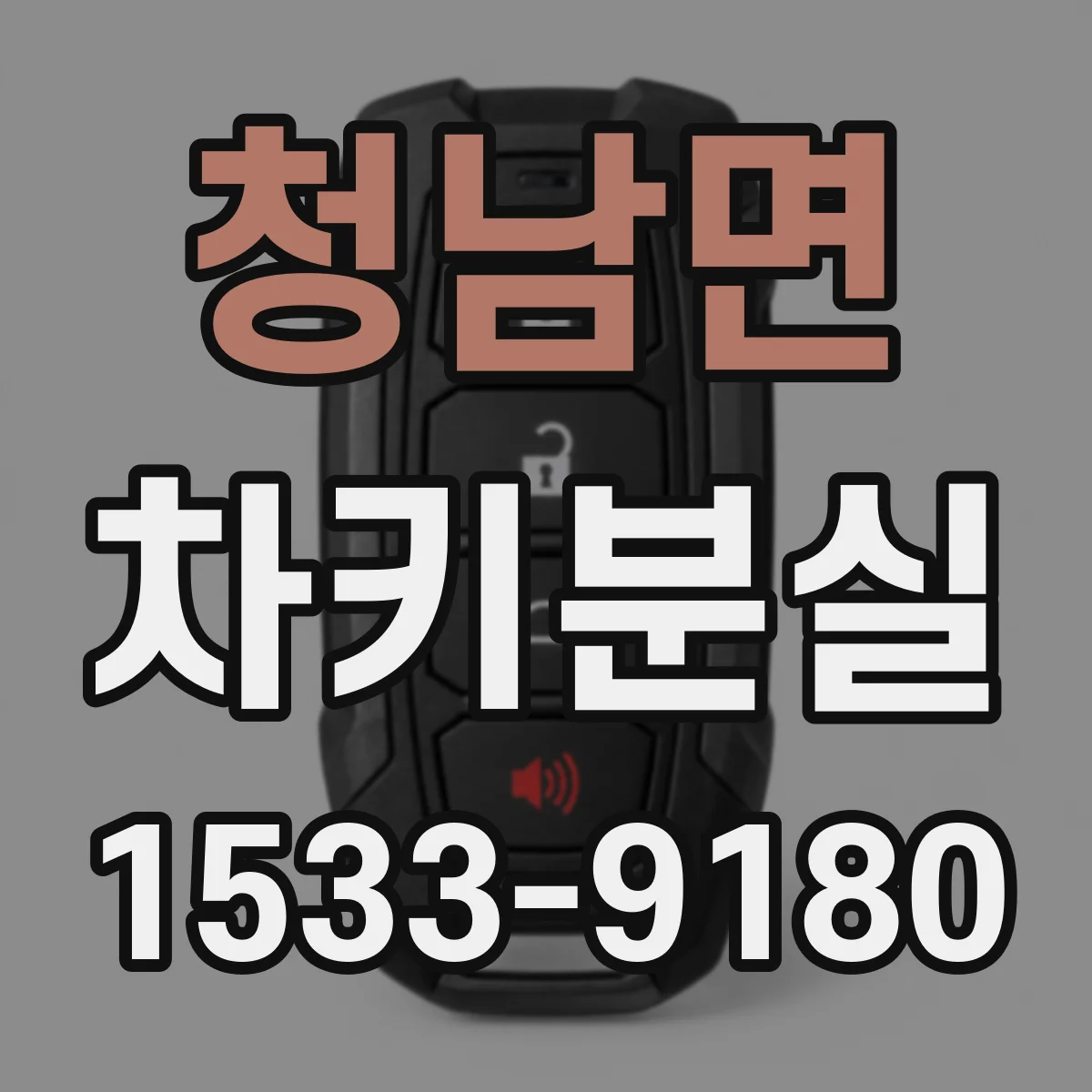 청남면 차키분실