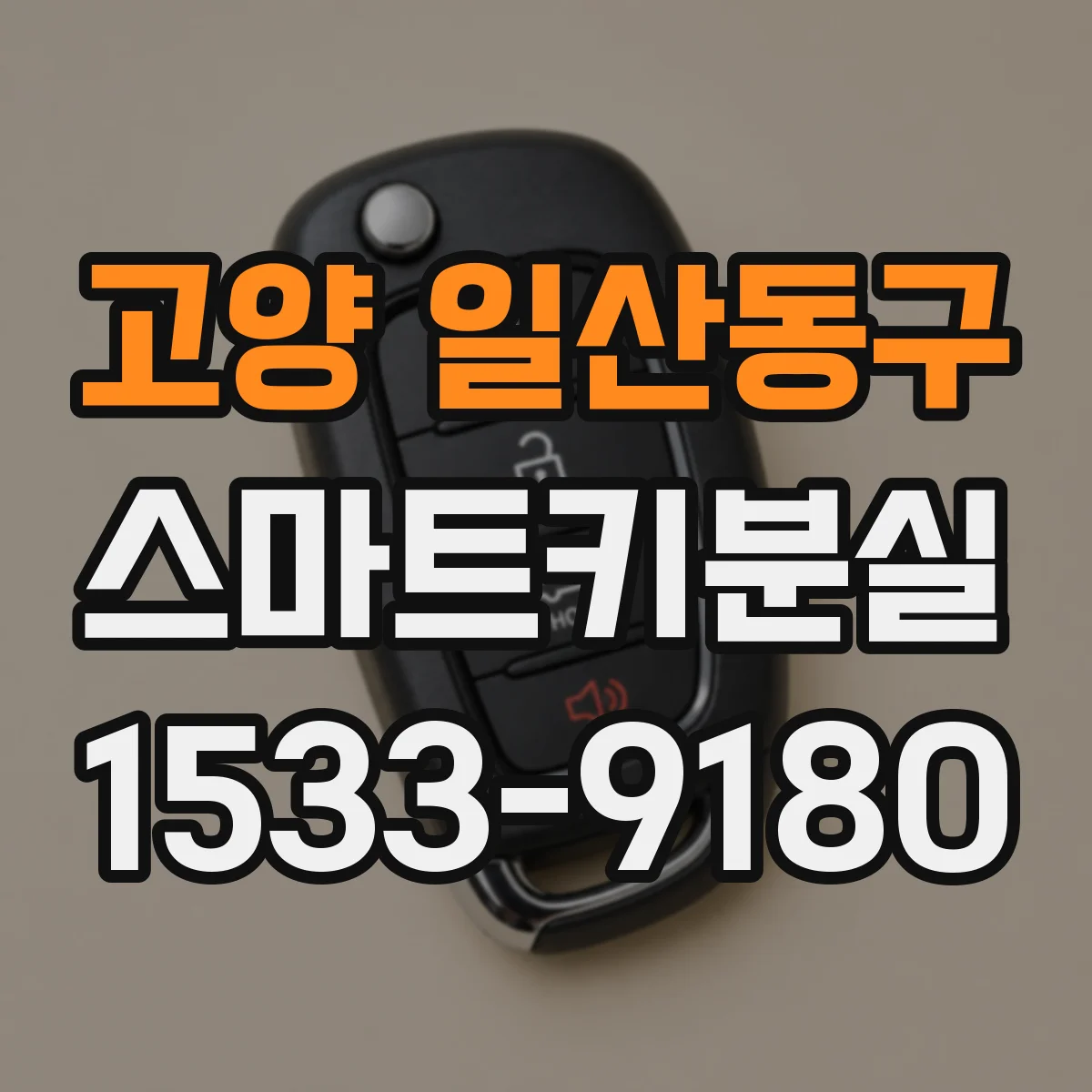 고양 일산동구 스마트키분실