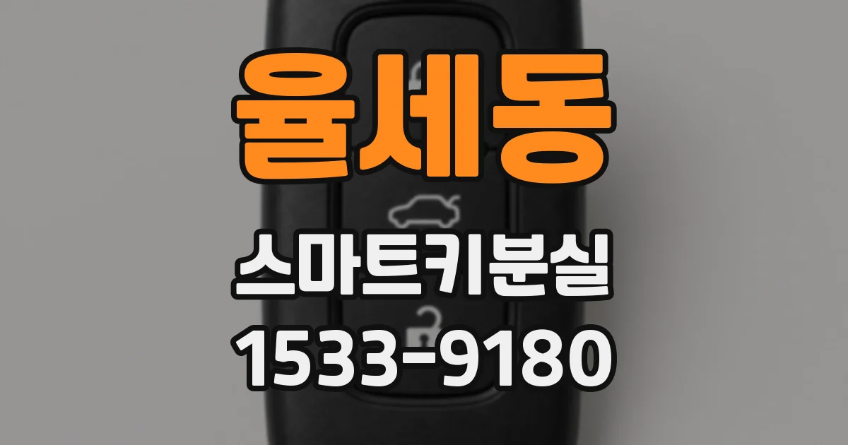 율세동 스마트키분실