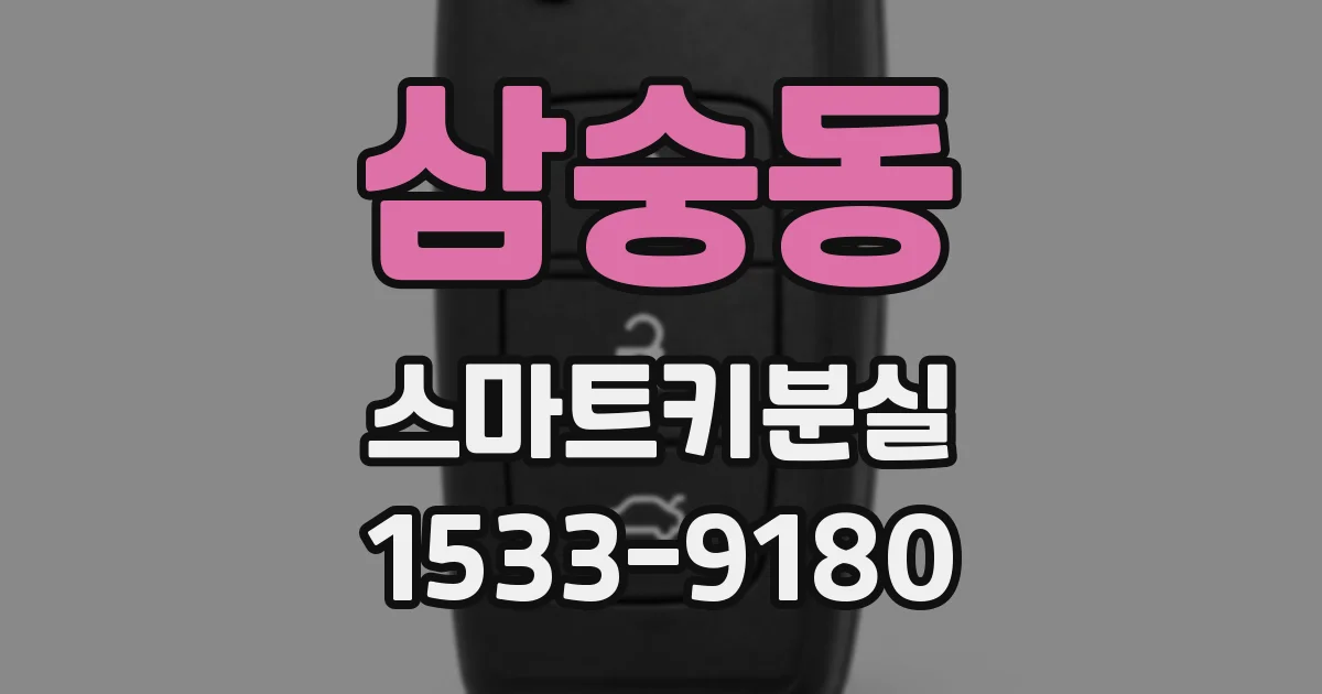 삼숭동 스마트키분실