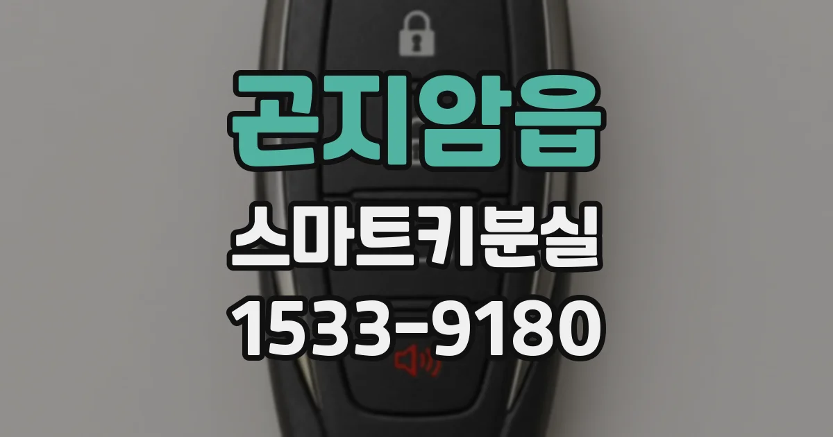 곤지암읍 스마트키분실