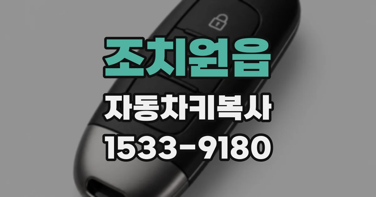 조치원읍 자동차키복사