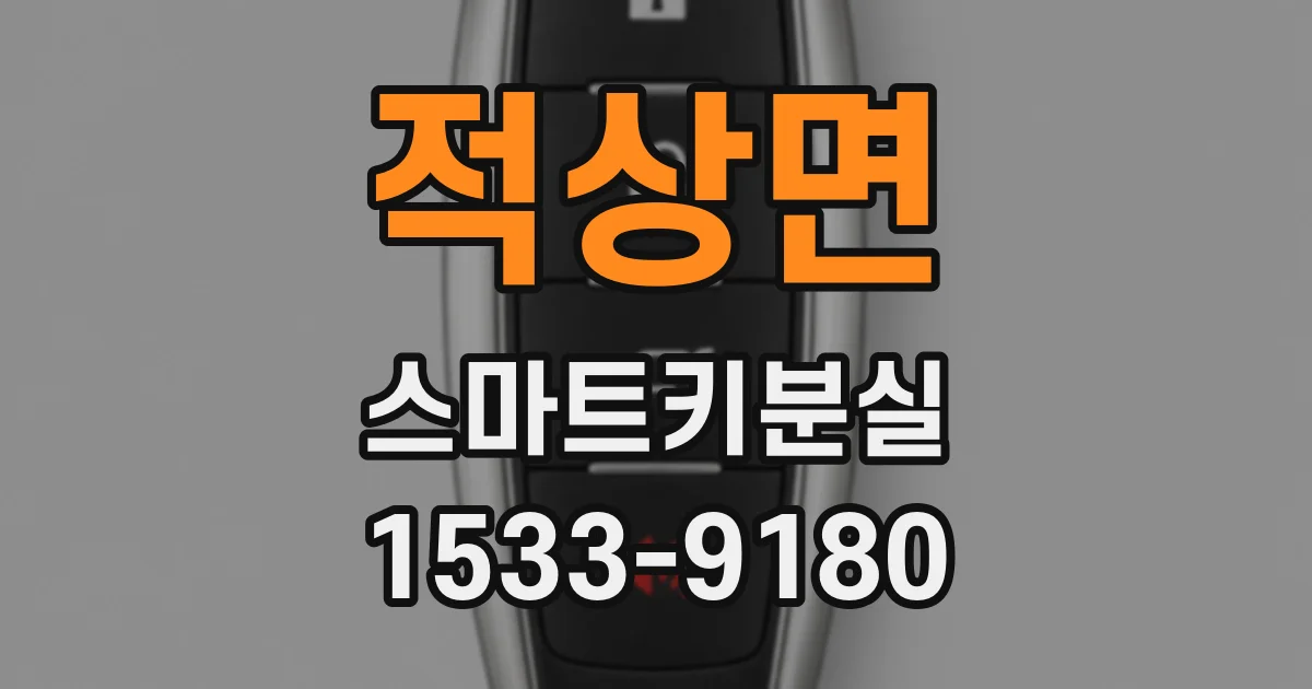 적상면 스마트키분실