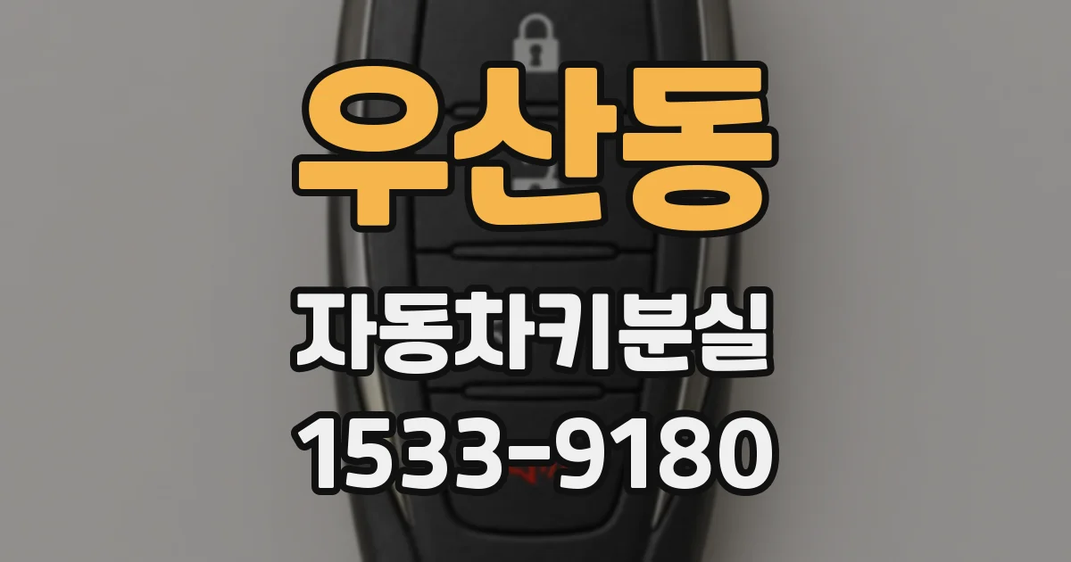 우산동 자동차키분실