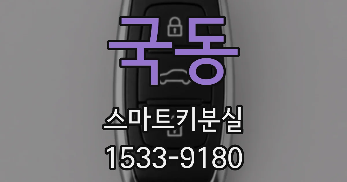 국동 스마트키분실