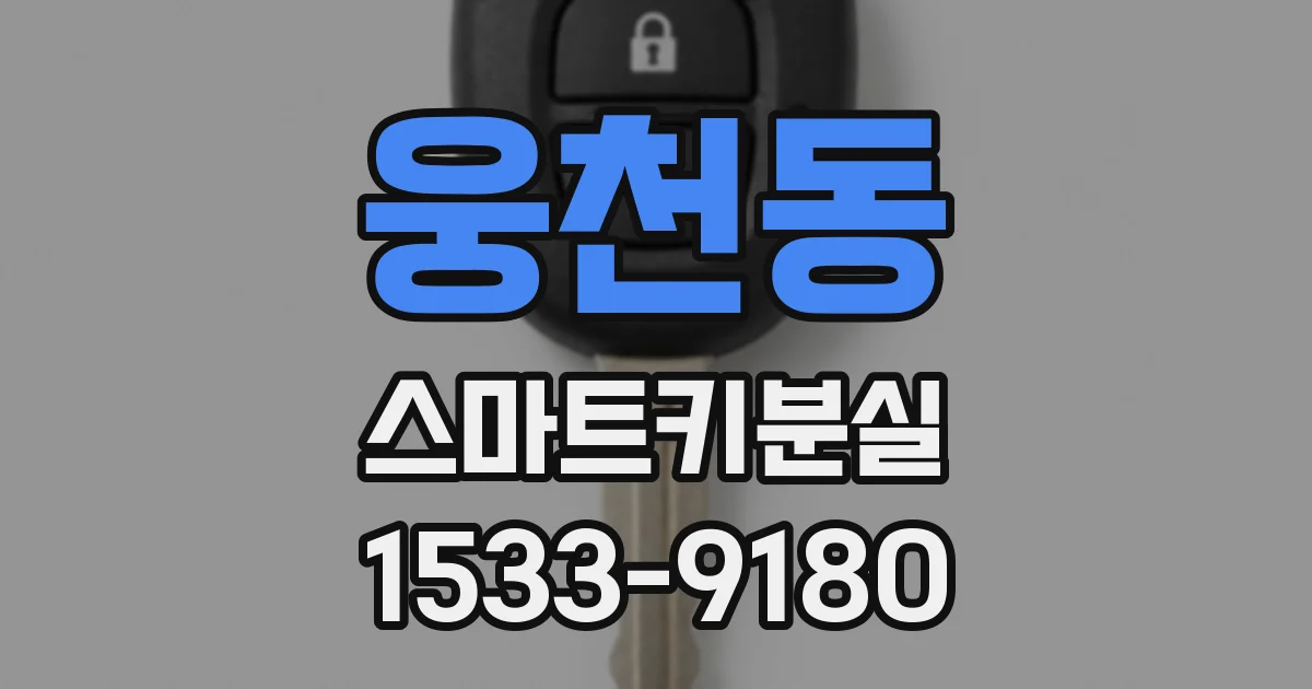 웅천동 스마트키분실