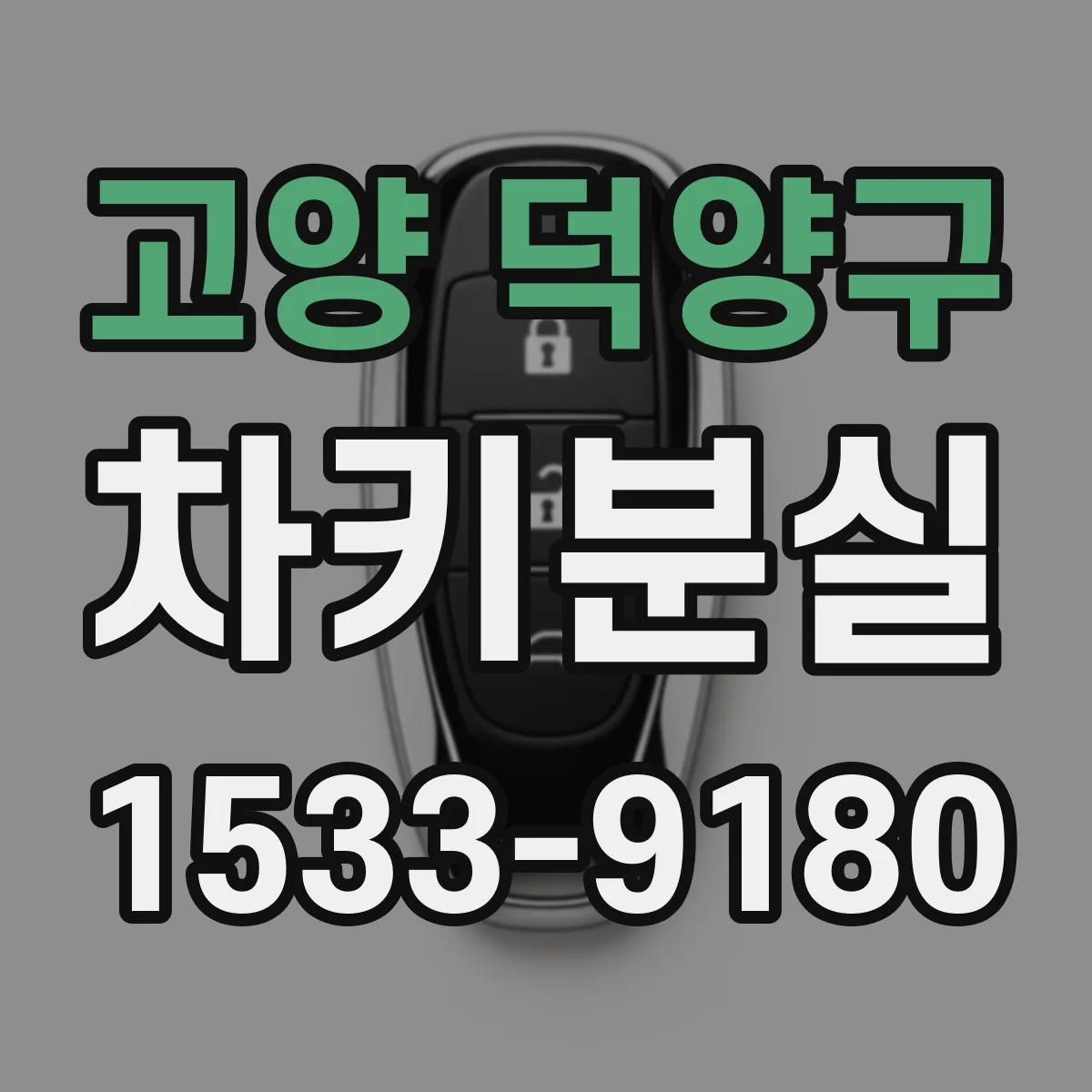 고양 덕양구 차키분실