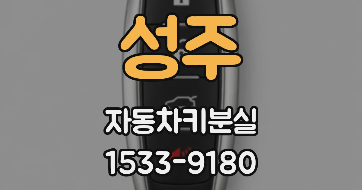 성주 자동차키분실
