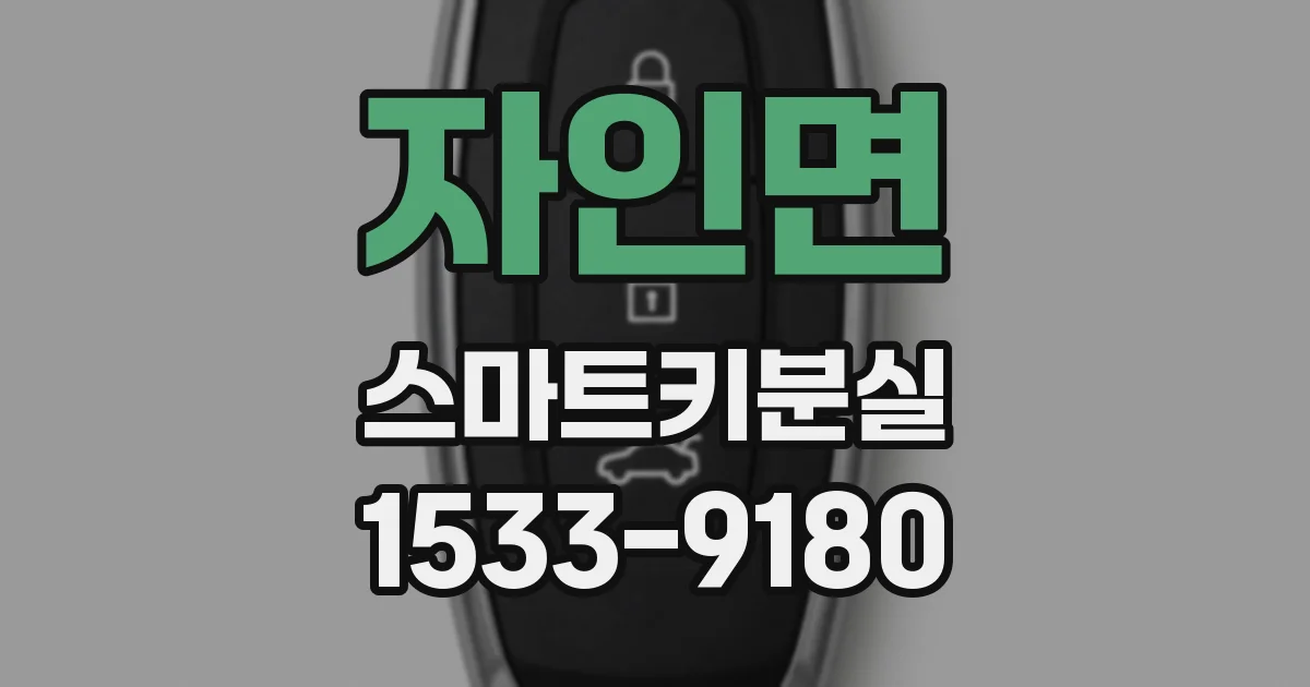 자인면 스마트키분실