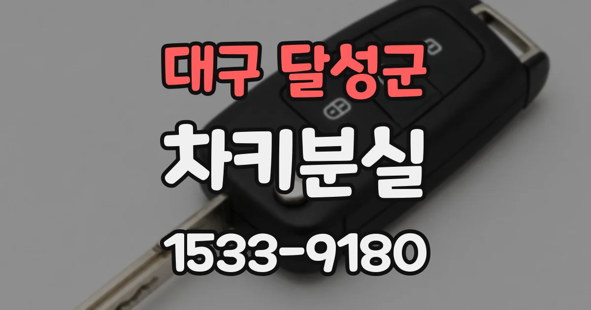 대구 달성군 차키분실
