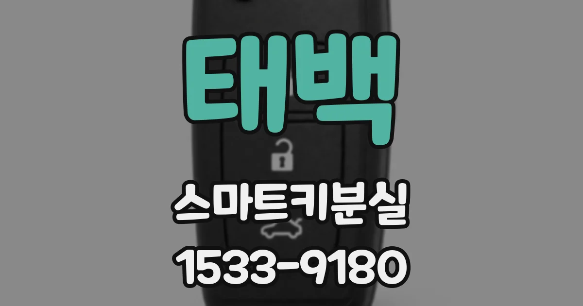 태백 스마트키분실