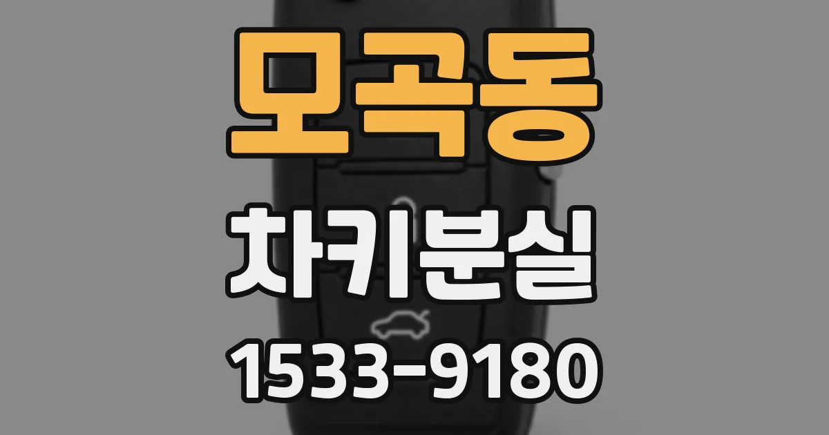모곡동 차키분실