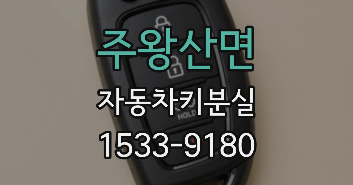 주왕산면 자동차키분실