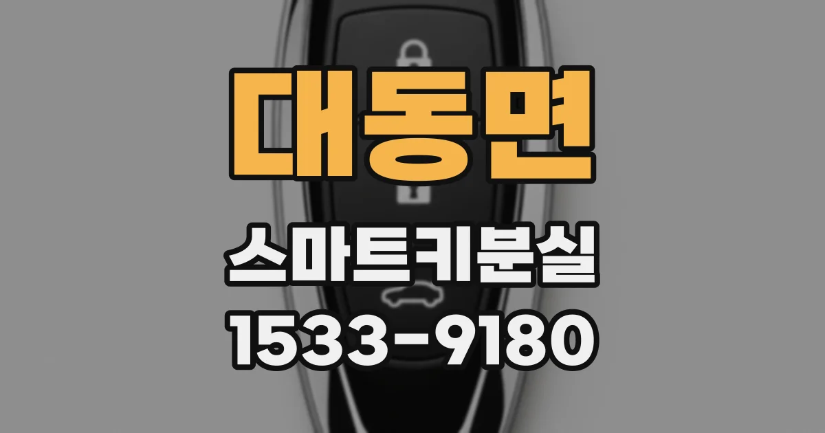 대동면 스마트키분실