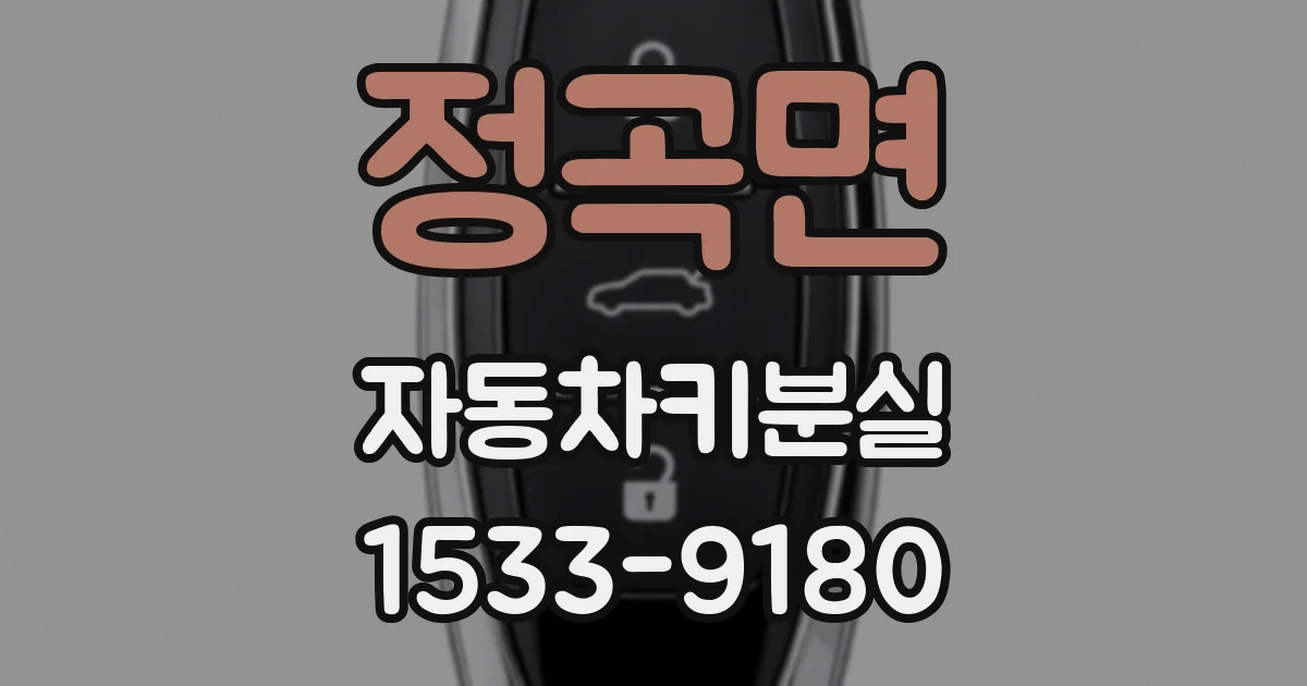 정곡면 자동차키분실