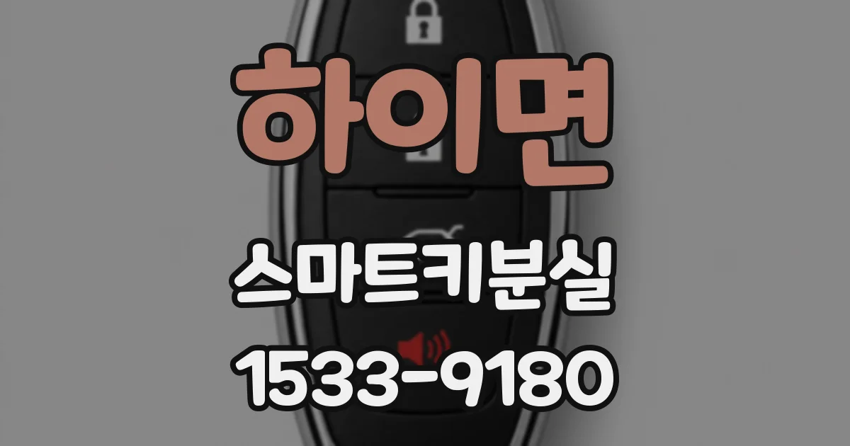하이면 스마트키분실