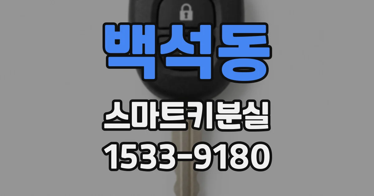 백석동 스마트키분실