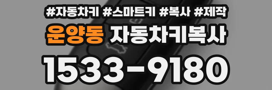 운양동 자동차키복사