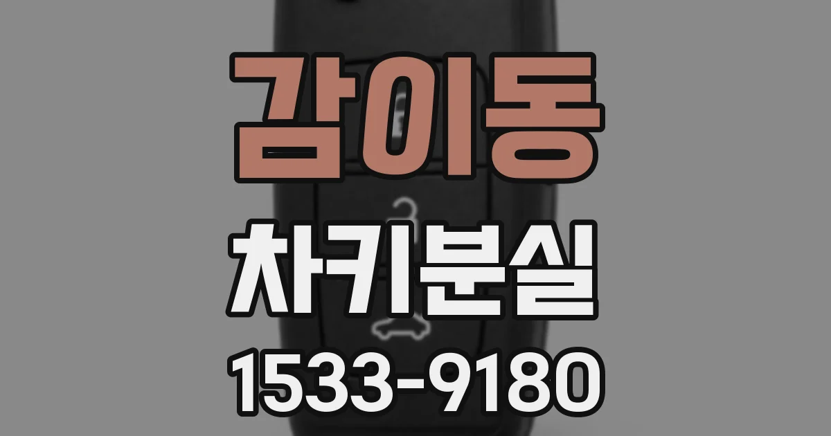 감이동 차키분실