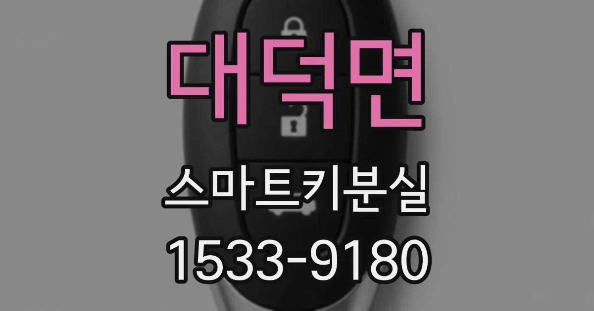 대덕면 스마트키분실
