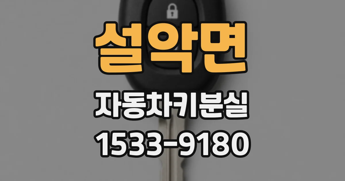 설악면 자동차키분실