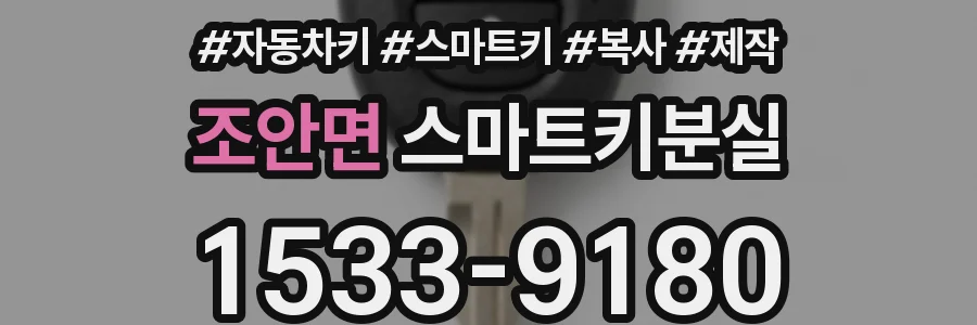 조안면 스마트키분실