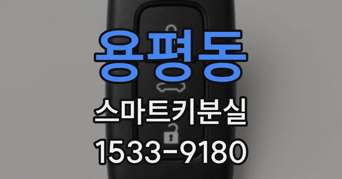 용평동 스마트키분실