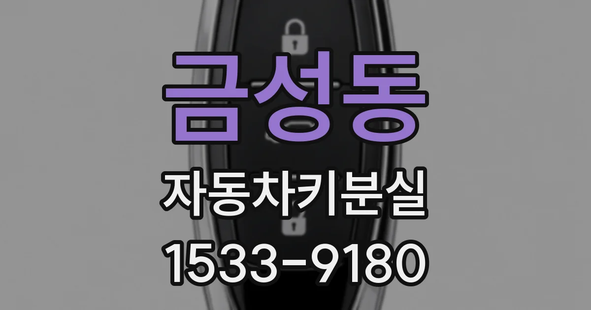 금성동 자동차키분실