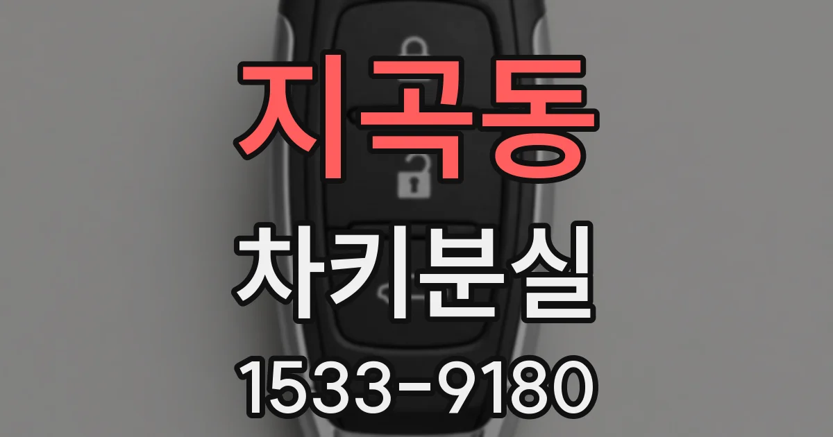 지곡동 차키분실
