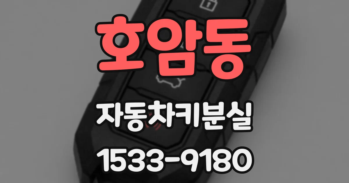 호암동 자동차키분실