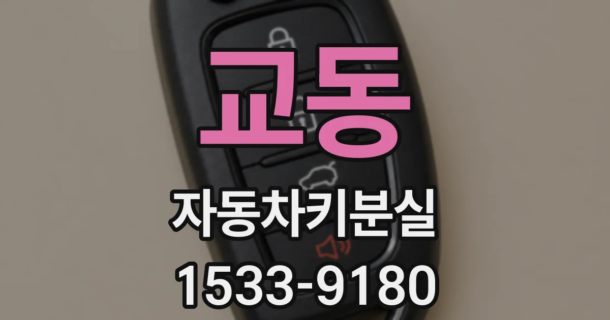 교동 자동차키분실