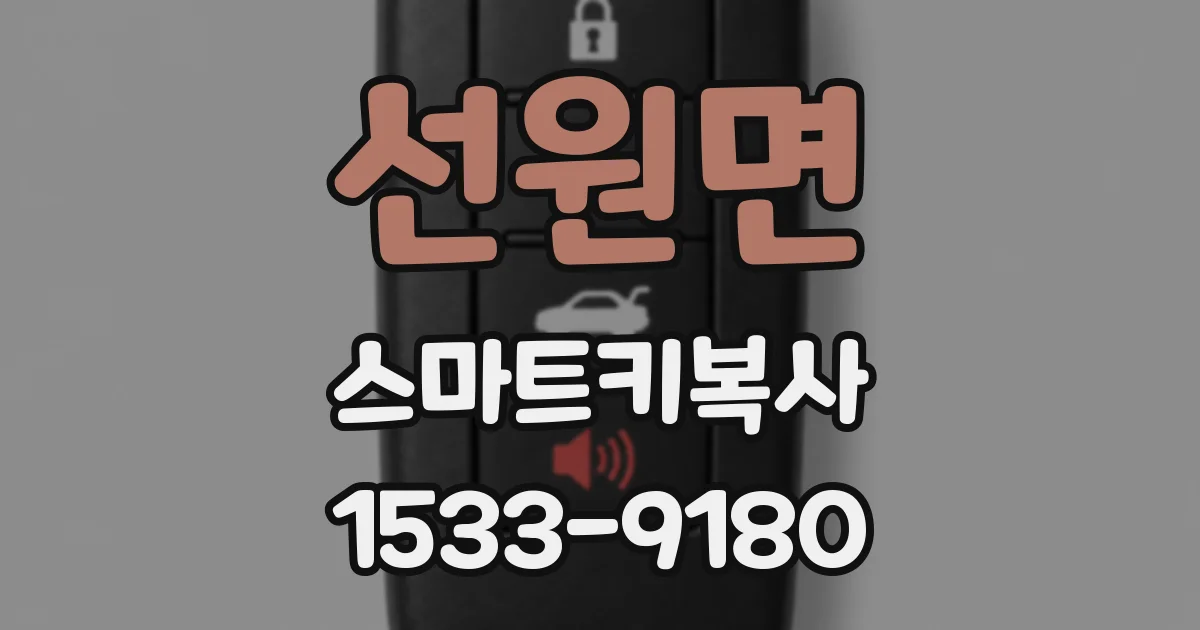 선원면 스마트키복사