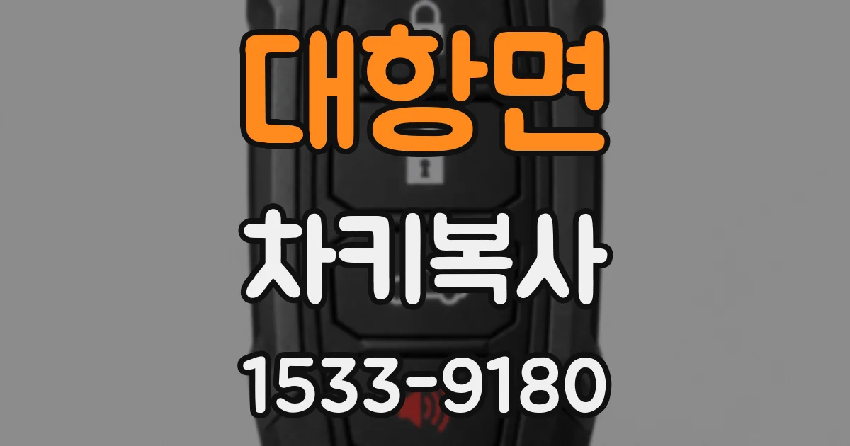 대항면 차키복사